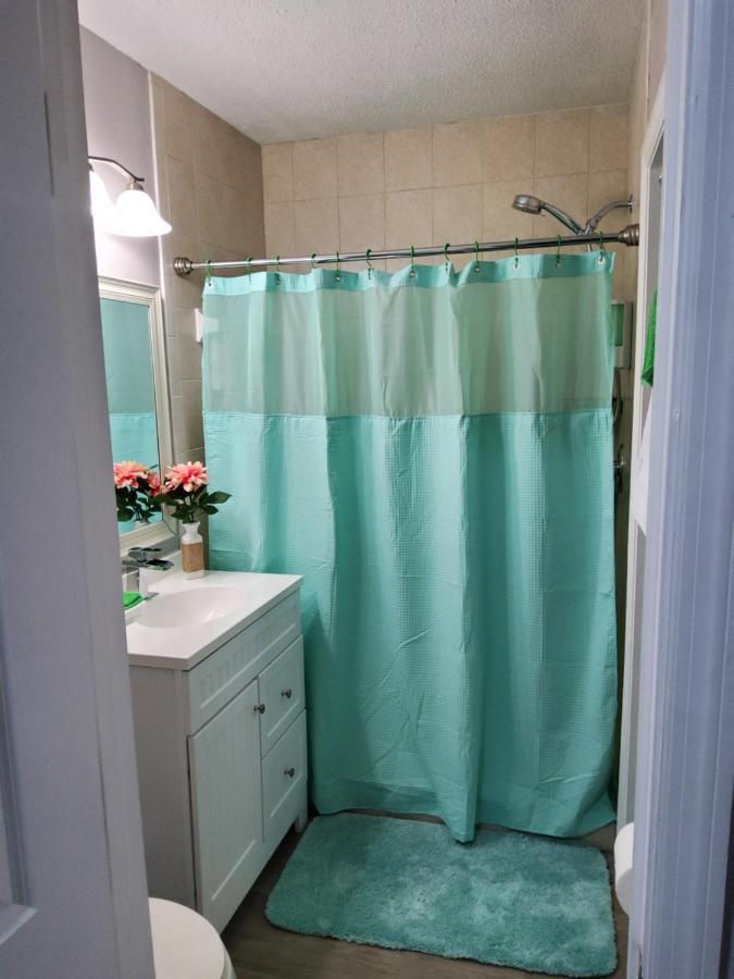 Beautiful Apartment Close To Everything タンパ エクステリア 写真