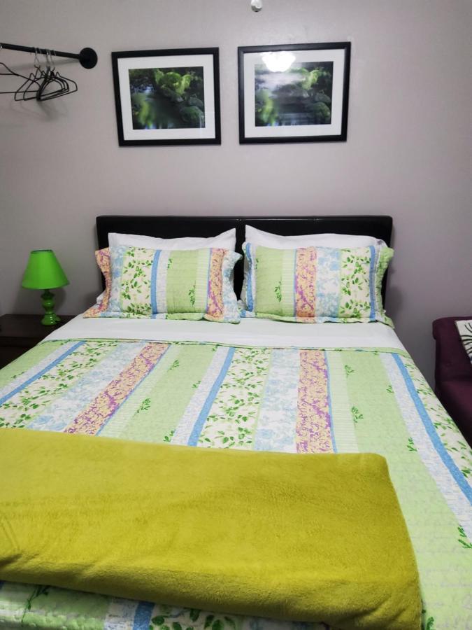 Beautiful Apartment Close To Everything タンパ エクステリア 写真