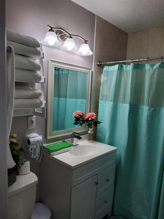 Beautiful Apartment Close To Everything タンパ エクステリア 写真