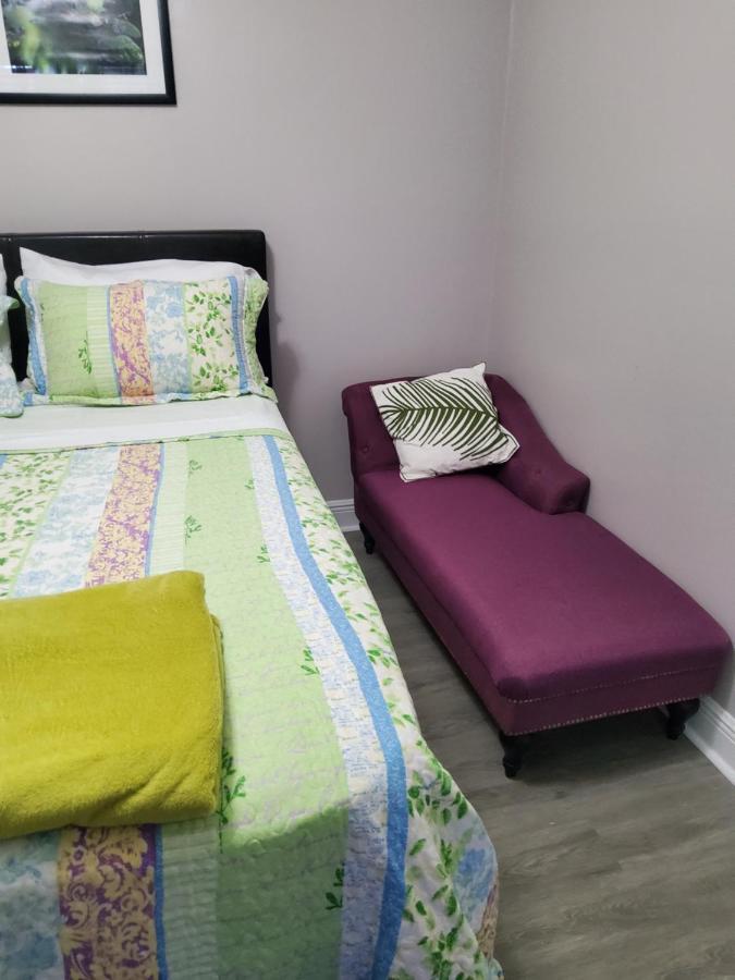 Beautiful Apartment Close To Everything タンパ エクステリア 写真