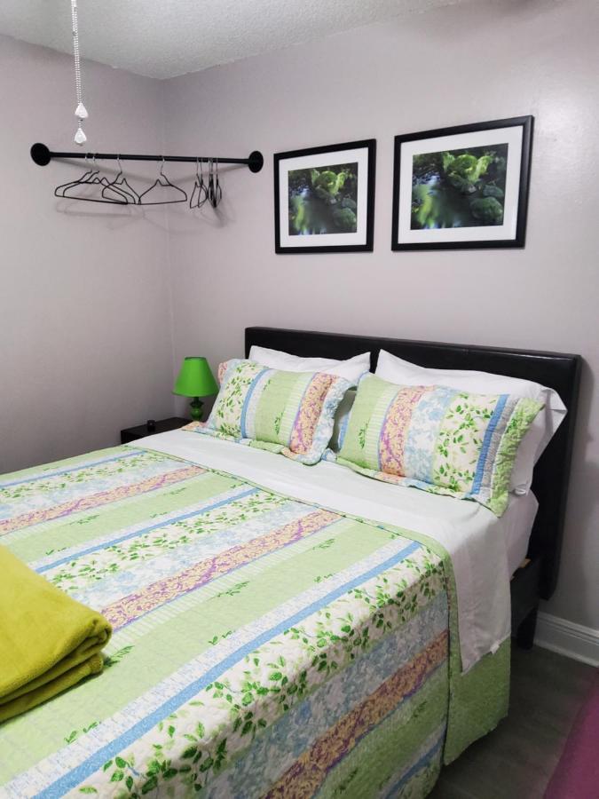 Beautiful Apartment Close To Everything タンパ エクステリア 写真